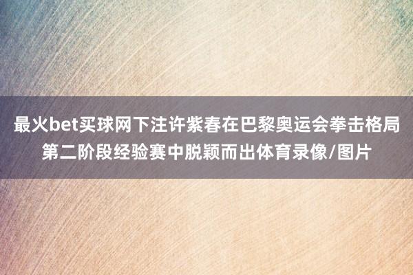 最火bet买球网下注许紫春在巴黎奥运会拳击格局第二阶段经验赛中脱颖而出体育录像/图片