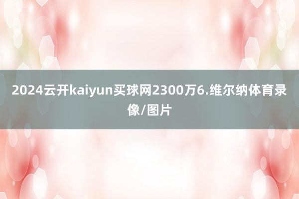 2024云开kaiyun买球网2300万6.维尔纳体育录像/图片