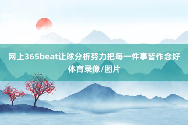 网上365beat让球分析努力把每一件事皆作念好体育录像/图片