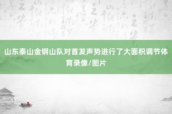 山东泰山金钢山队对首发声势进行了大面积调节体育录像/图片