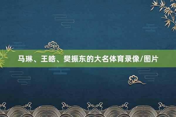 马琳、王皓、樊振东的大名体育录像/图片