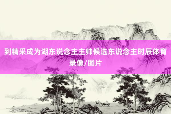 到精采成为湖东说念主主帅候选东说念主时辰体育录像/图片