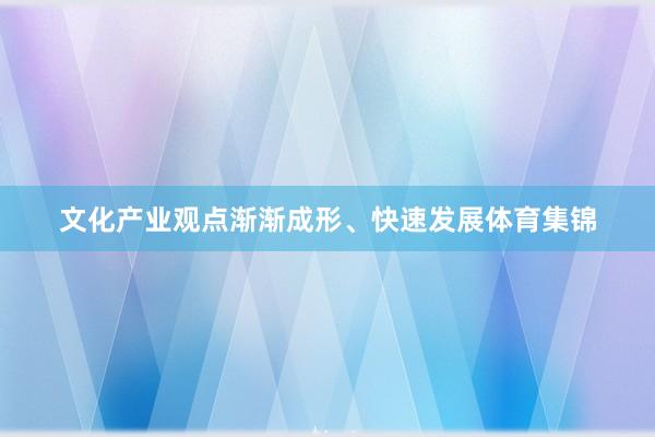 文化产业观点渐渐成形、快速发展体育集锦