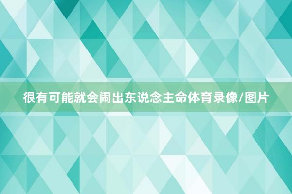 很有可能就会闹出东说念主命体育录像/图片